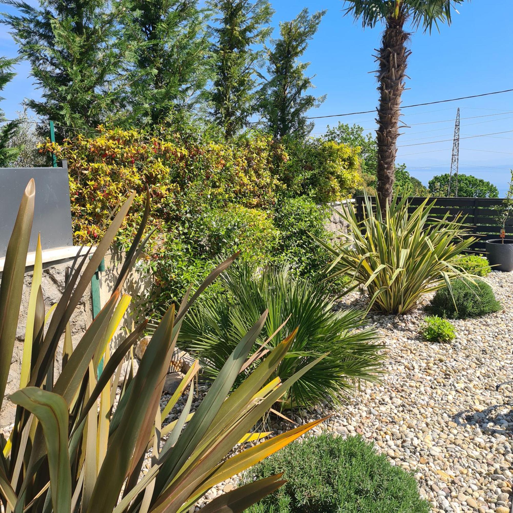 Villa Adriatic, Apartment Chiara With Sea View And Heated Swimming Pool, Free Private Parking, Ičići Exteriör bild